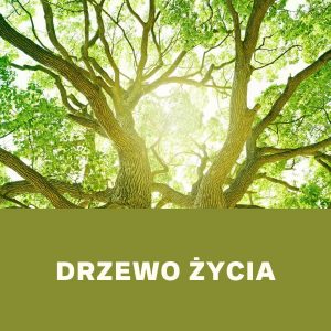 Ona i On Dobrze Ustawieni - Ćwiczenia | Drzewo życia